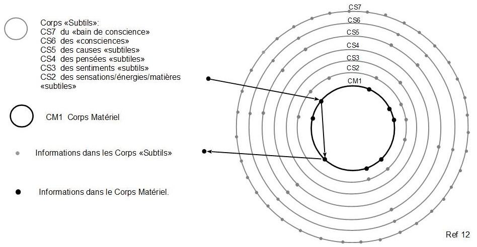 12c fonctionnement mental