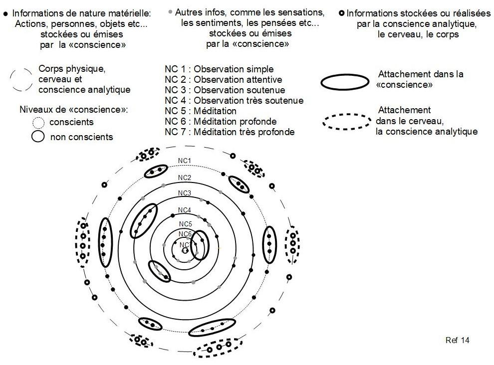 14 ref