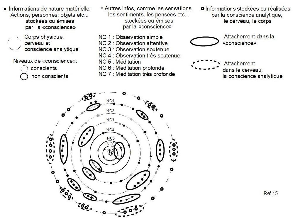 15 ref