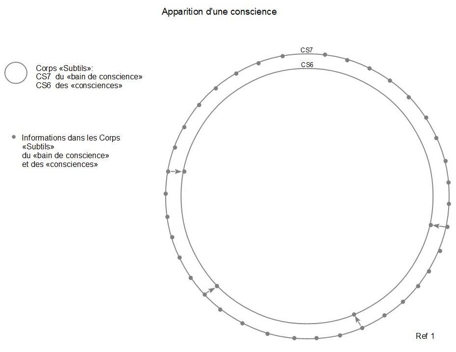 1c apparition d une conscience