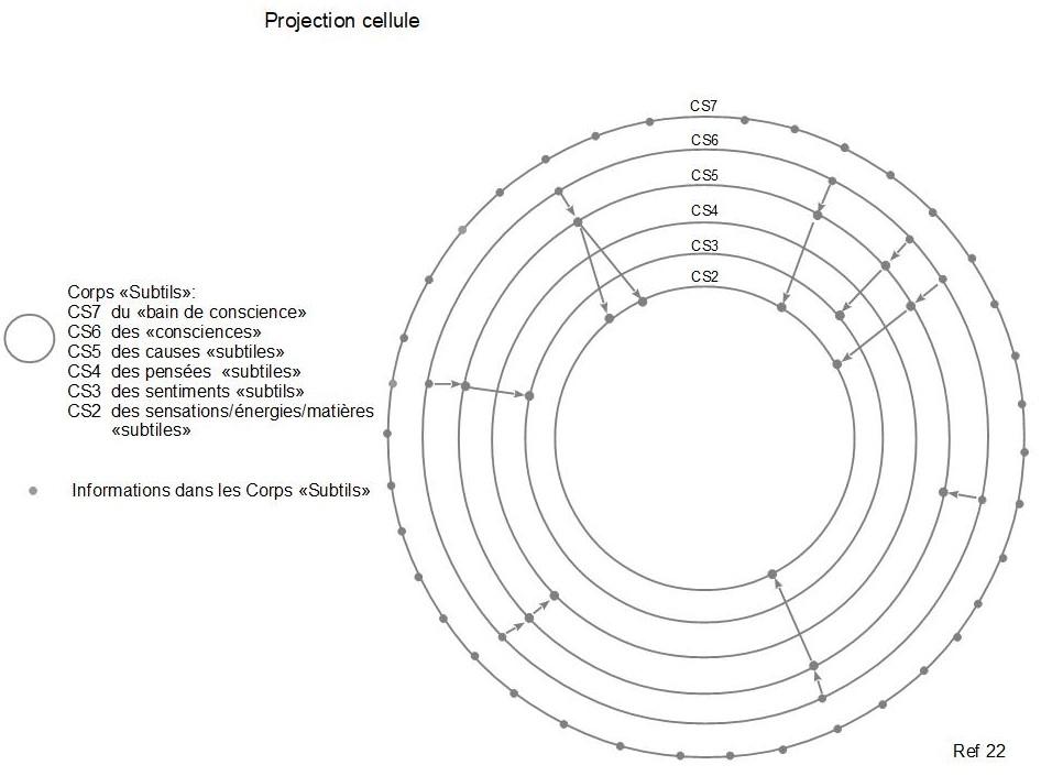 22c cellule projection