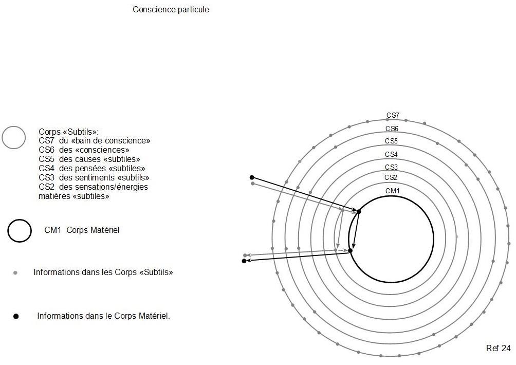 24c conscience particule