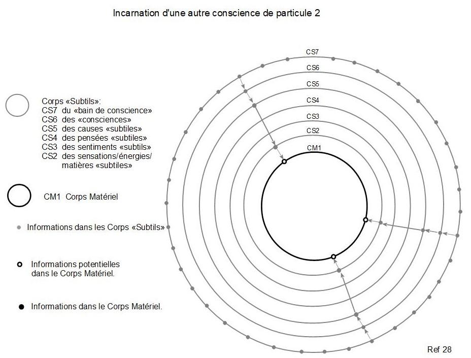 28c incarnation d une autre conscience de particule 2