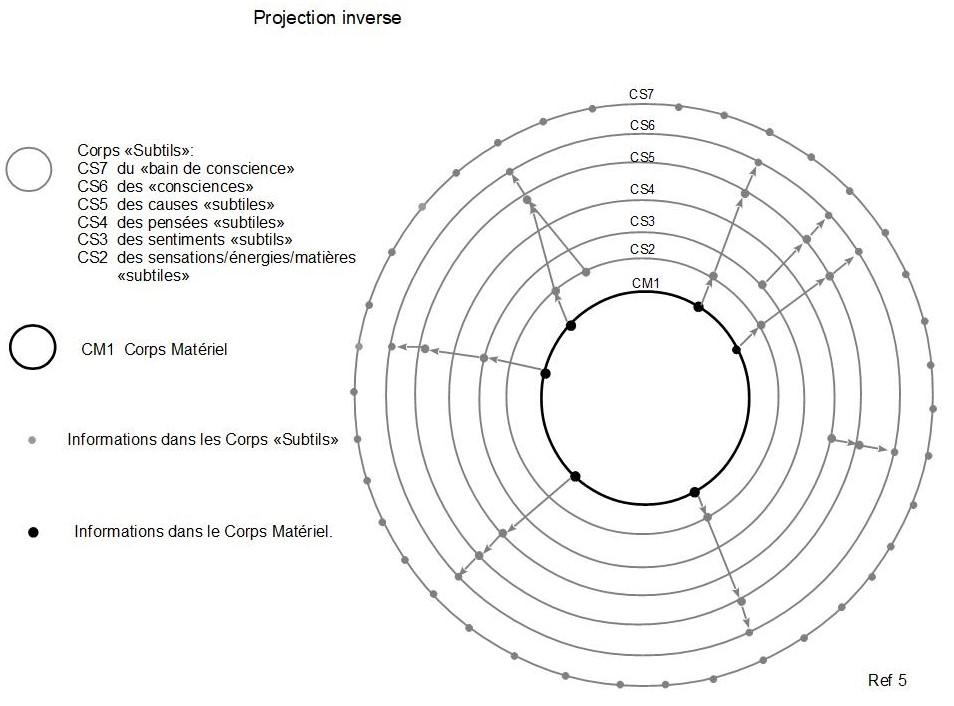 5c projection inverse