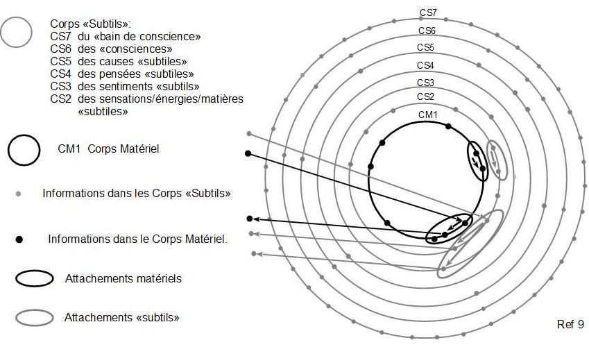 9c declenchement attachement subtil